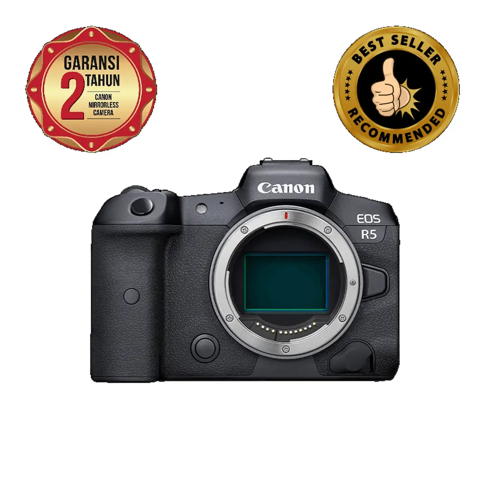 Canon EOS 事切れ R5 ボディ