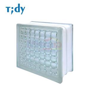 Tidy Glass Block Hollow Crystal Parallel 8x19x19 Cm