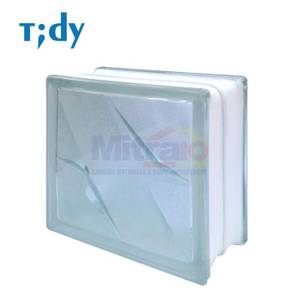 Tidy Glass Block Hollow Frost Bistar 8x19x19 Cm