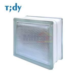Tidy Glass Block Hollow Line Lite 8x19x19 Cm