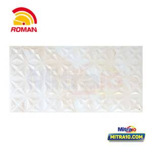 Roman Keramik Dinding Kw.1 Dmarbella Winter 30x60R Cm Glossy