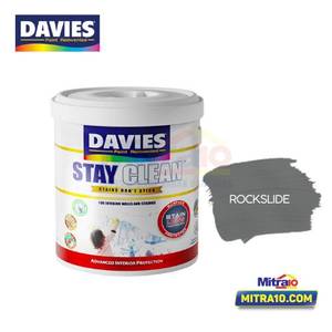 Davies Stay Clean Cat Interior 2957D Rockslide 2.5 L