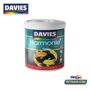 Davies Harmonie 2213P 2.5 LT Toe Shoes
