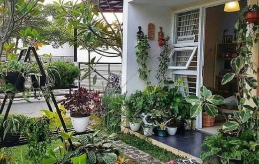 Tanaman hias depan rumah